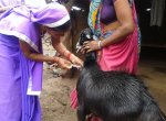 Poultry Farming