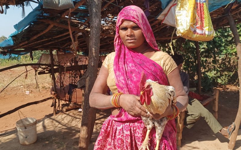 Boosting Livestock Yields (2)