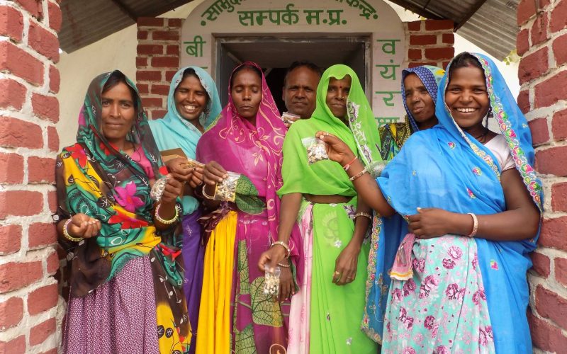 Community Seed Bank_2