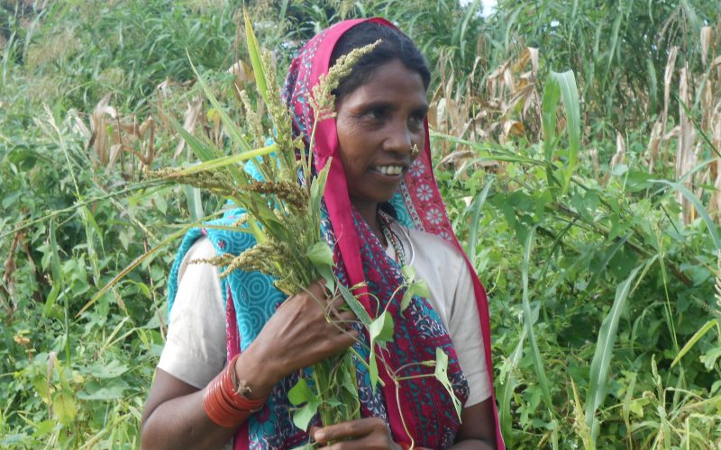 Major benefits to farmers (3)