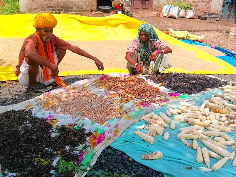 sakaru seed saver