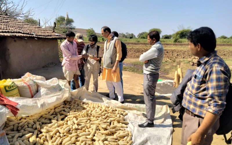 किसान द्वारा बीजो का चयन करने के बारे में बताते हुए